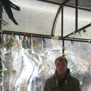  ,   , 40 ,   