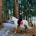 ���������� ����������, ���� ������� ������, 31 ���, ������������ ��� ������, ����� � ���������