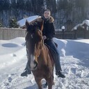 ���������� ������, ���� ������� ���������, 29 ���, ������������ ��� c�������� ���������, ���������