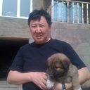  Ulaanbaatar,   Gena, 62 ,   ,   , c 