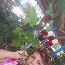  ,   , 46 ,   ,   , 