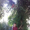  --,   , 63 ,   ,   , c 