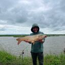 ���������� ���, ���� ������� ������, 39 ���, ������������ ��� ����� � ���������, c�������� ���������