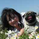 ���������� ��������, ���� ������� �������, 65 ���, ������������ 