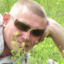  ,   , 51 ,  