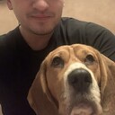 ���������� �����, ���� ������� ������, 31 ���, ������������ ��� ������, ����� � ���������, c�������� ���������