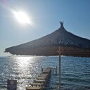  ,   Alemci, 36 ,   ,   