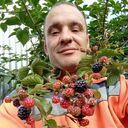 ���������� ������, ���� ������� �����, 44 ����, ������������ ��� ������, ����� � ���������, c�������� ���������, ���������