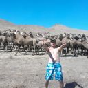 ���������� ������, ���� ������� Afis, 36 ���, ������������ ��� ������