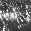 ���������� �������, ���� ������� �������, 28 ���, ������������ 