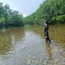 ���������� �����������, ���� ������� �������, 27 ���, ������������ ��� ������, ����� � ���������, c�������� ���������, ���������