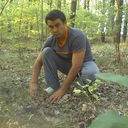  ,   , 53 ,   ,   , c 