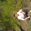  ,   , 44 ,   