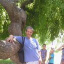  ,   , 66 ,   ,   , c , 