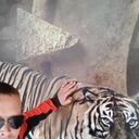 ���������� ������, ���� ������� ˸��, 36 ���, ������������ ��� ������, ����� � ���������