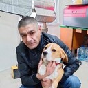 ���������� ����, ���� ������� ���������, 49 ���, ������������ ��� ������, ����� � ���������, c�������� ���������, ���������