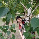  ,   , 62 ,     , c 