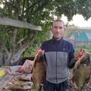 ���������� ����, ���� ������� ����, 43 ����, ������������ ��� ������, ����� � ���������