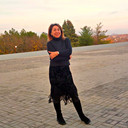  ,   , 62 ,  
