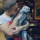 ���������� ���������, ���� ������� ������, 40 ���, ������������ ��� ������, ����� � ���������