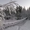 ���������� ����, ���� ������� �����, 39 ���, ������������ 