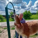  ,   , 62 ,   ,   