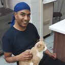 ���������� �����-���������, ���� ������� Alaa, 48 ���, ������������ ��� ������, ����� � ���������