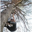 ���������� ����������, ���� ������� Lllll, 47 ���, ������������ ��� ������