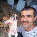  ,   , 43 ,   c 