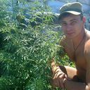  ,   Romaschka, 42 ,   ,   , c 
