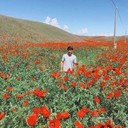 ���������� ����, ���� ������� Ysuf, 31 ���, ������������ ��� ������, ����� � ���������, c�������� ���������