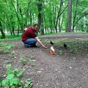 ���������� ������, ���� ������� ������, 42 ����, ������������ ��� ������, ����� � ���������