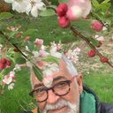 ���������� ������, ���� ������� ������, 49 ���, ������������ ��� ������, ����� � ���������