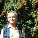  ,   , 65 ,   ,   