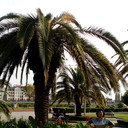 ���������� ���, ���� ������� �������, 56 ���, ������������ ��� ����� � ���������, c�������� ���������