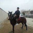 ���������� ���������, ���� ����� �������, 24 ����, ������������ ��� ������, ����� � ���������