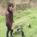 ���������� �����-���������, ���� ������� ����, 34 ����, ������������ 