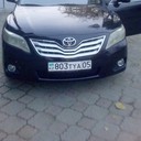 ���������� ������, ���� ������� �������, 36 ���, ������������ ��� ������, ����� � ���������, c�������� ���������