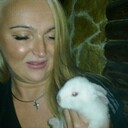 ���������� �����, ���� ������� ��������, 37 ���, ������������ ��� ���������