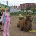  ,   , 43 ,   ,   , c 