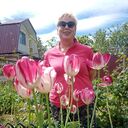 ���������� �����, ���� ������� ������, 68 ���, ������������ ��� ������, ����� � ���������