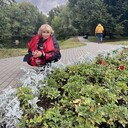  ,   , 70 ,   ,   