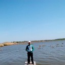 ���������� ����, ���� ������� ����, 46 ���, ������������ ��� ������, ����� � ���������, c�������� ���������