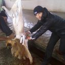  ,   Rosqa, 41 ,   