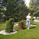 ���������� �����, ���� ������� �����, 59 ���, ������������ ��� c�������� ���������, ���������