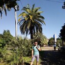 ���������� �����, ���� ������� �������, 36 ���, ������������ ��� ������, ����� � ���������, c�������� ���������