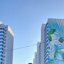 ���������� �����������, ���� ������� �������, 37 ���, ������������ ��� ������, ����� � ���������, c�������� ���������, ���������