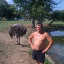  ,   , 53 ,   