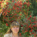 ���������� �������, ���� ������� �������, 48 ���, ������������ 