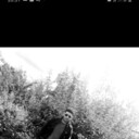 ���������� �����������, ���� ������� �����, 38 ���, ������������ ��� ������, ����� � ���������